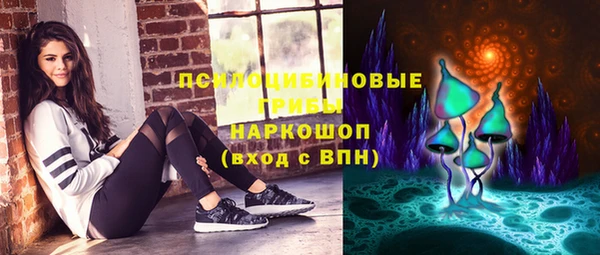 индика Менделеевск