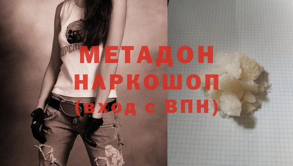 индика Инсар