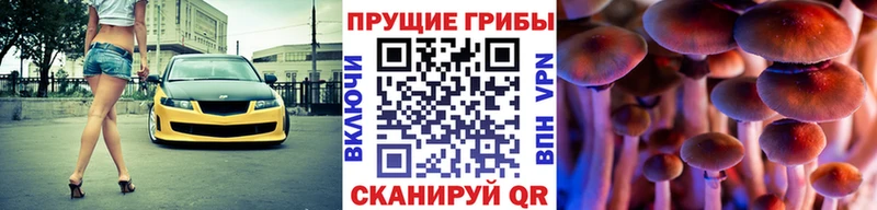 Купить закладки  Завитинск  Галлюциногенные грибы мицелий 